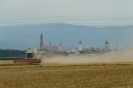 Landwirtschaft