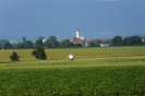 Landwirtschaft