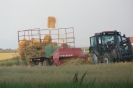 Landwirtschaft