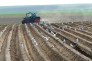 Landwirtschaft