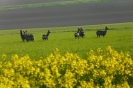 Landwirtschaft