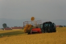 Landwirtschaft