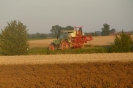 Landwirtschaft