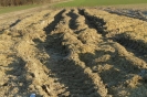 Landwirtschaft