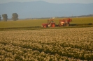 Landwirtschaft