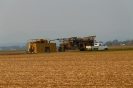 Landwirtschaft