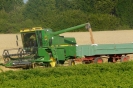 Landwirtschaft