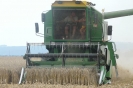 Landwirtschaft