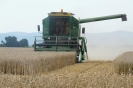 Landwirtschaft