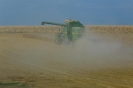 Landwirtschaft