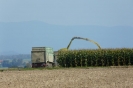 Landwirtschaft