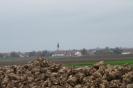 Landwirtschaft