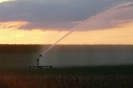 Bilder aus Landwirtschaft