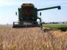 Bilder aus Landwirtschaft
