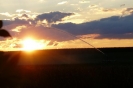 Bilder aus Landwirtschaft