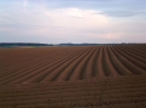 Bilder aus Landwirtschaft