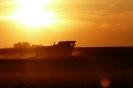 Bilder aus Landwirtschaft