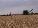 Bilder aus Landwirtschaft
