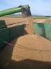 Bilder aus Landwirtschaft