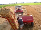 Bilder aus Landwirtschaft