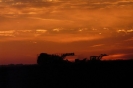 Bilder aus Landwirtschaft