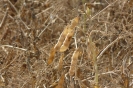 Bilder aus Landwirtschaft