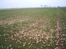 Bilder aus Landwirtschaft
