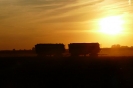 Bilder aus Landwirtschaft