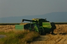 Bilder aus Landwirtschaft