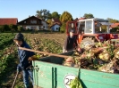 Bilder aus Landwirtschaft
