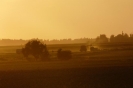Bilder aus Landwirtschaft