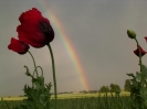 Bilder aus Landwirtschaft