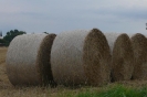 Landwirtschaft