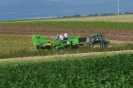 Landwirtschaft
