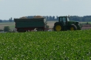 Landwirtschaft