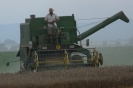 Landwirtschaft