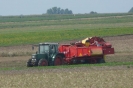 Landwirtschaft