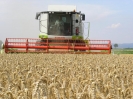 Claas von Peine