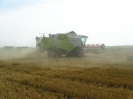 Claas von Peine