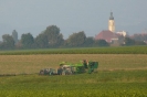 Landwirtschaft