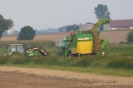Landwirtschaft