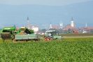 Landwirtschaft