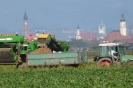 Landwirtschaft