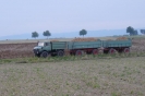 Landwirtschaft