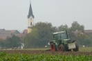 Landwirtschaft