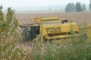 Landwirtschaft