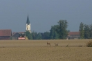 Landwirtschaft