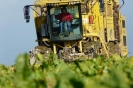 Landwirtschaft