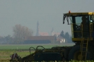 Landwirtschaft