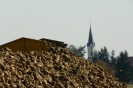 Landwirtschaft